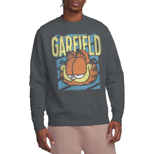 Garfield Unisex Vuxen Rad Sweatshirt XL Kolgrå Charcoal XL