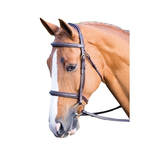 Salisbury Fairford Läder Hästgrimma Full Australian Nut Australian Nut Full