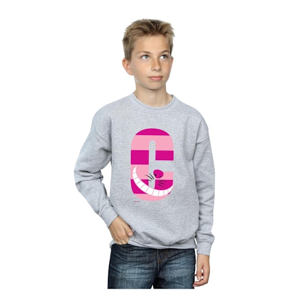 Disney Boys Alphabet A Is For Alice Sweatshirt 12-13 År Spor Sports Grey 12-13 Years