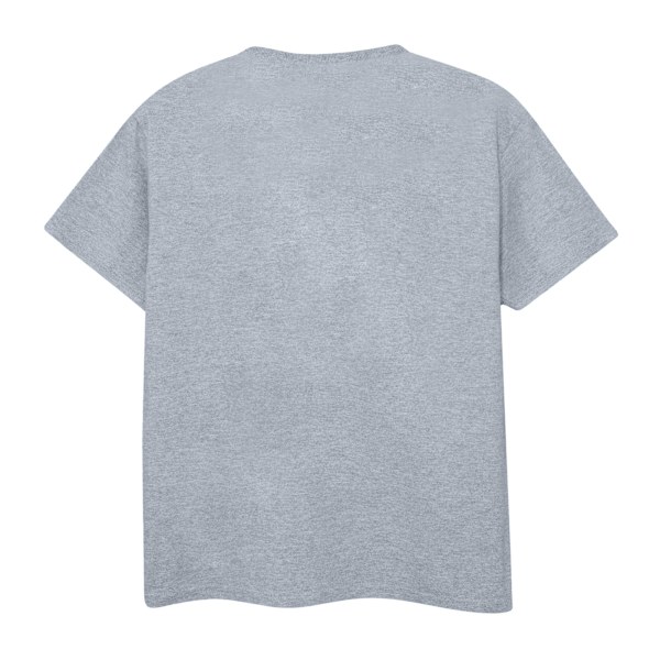 NASA Boys Insignia Logo T-Shirt 5-6 år Sports Grey Sports Grey 5-6 Years