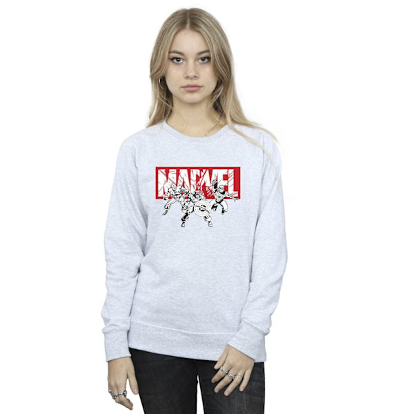 Marvel Comics Hjältegrupp Sweatshirt XXL Sports Gr för Dam/Kvinnor Sports Grey XXL