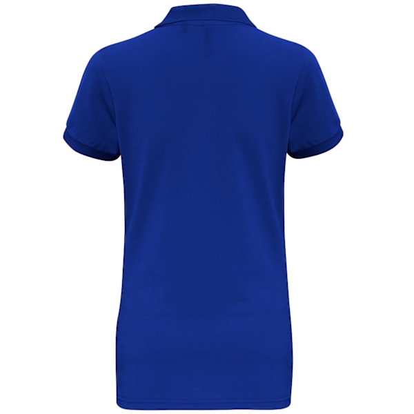 Asquith & Fox Dam/Dam Short Sleeve Performance Blend Polo Royal L