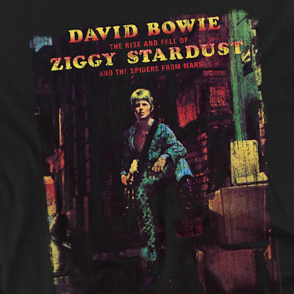 David Bowie Herr Ziggy Stardust Album T-Shirt 4XL Svart Black 4XL