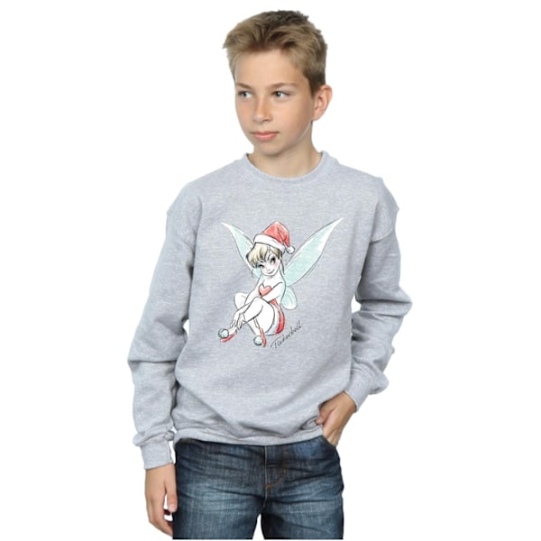 Disney Boys Tinkerbell Jul Fe Sweatshirt 7-8 År Spo Sports Grey 7-8 Years