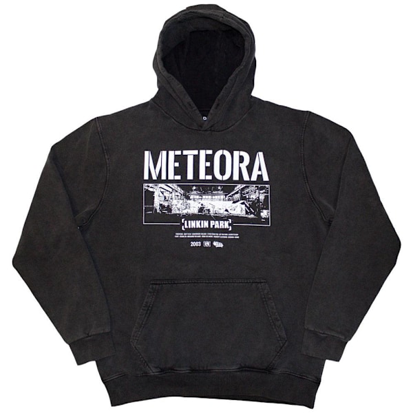 Linkin Park Unisex Vuxen Meteora Väggkonst Sten Tvättad Tröja Charcoal Grey L
