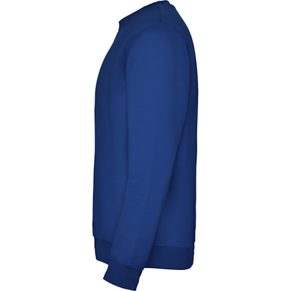 Roly Unisex Vuxen Clasica Crew Neck Sweatshirt S Royalblå Royal Blue S