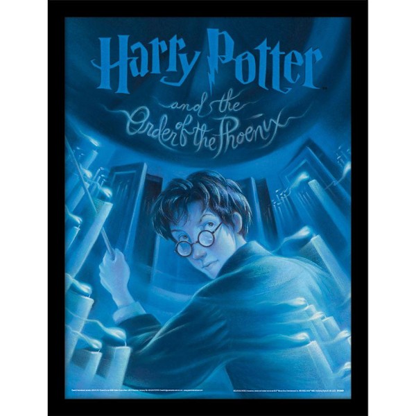 Harry Potter The Order Of The Phoenix inramad affisch 40cm x 30cm Blue 40cm x 30cm