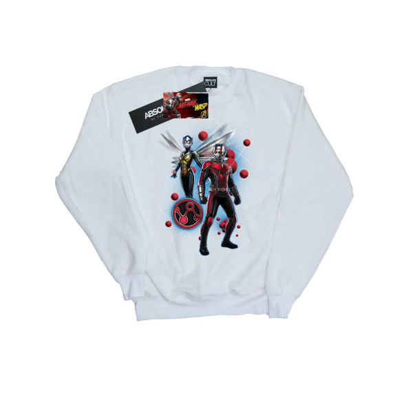 Marvel Boys Ant-Man And The Wasp Particle Pose Sweatshirt 12-13 White 12-13 Years