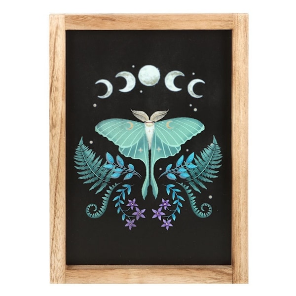 Something Different Träram med Luna Moth-motiv, En Storlek, Svart Black/Purple/Green One Size