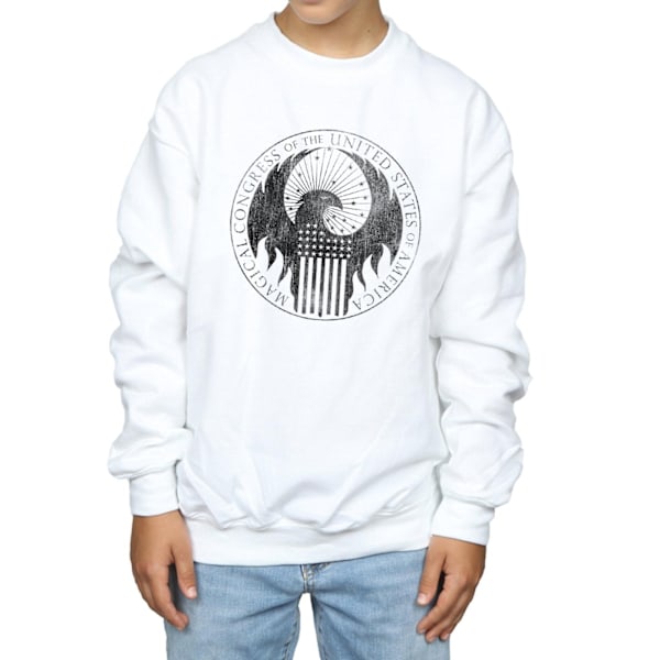 Fantastiska vidunder Pojkar Distressed Magical Congress Sweatshirt 7- White 7-8 Years