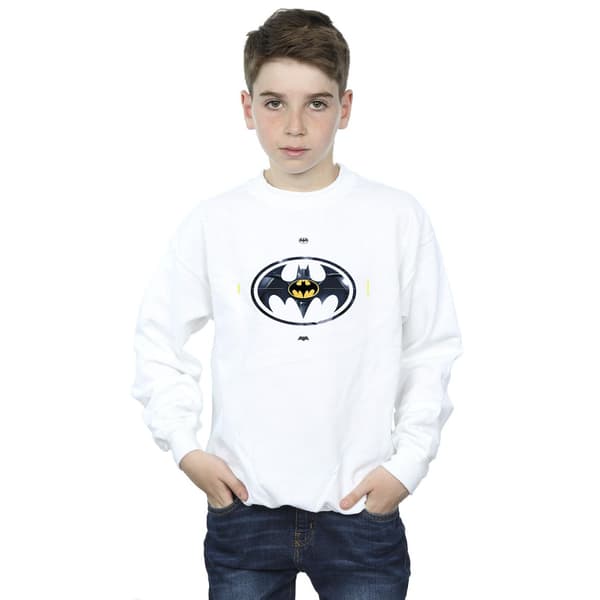 DC Comics Pojkar The Flash Batman Metall Logotyp Tröja 5-6 År White 5-6 Years