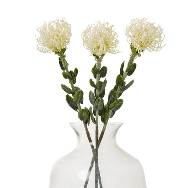 Hill Interiors Nålskydd Protea Spray Konstgjord Blomma One Si Cream One Size