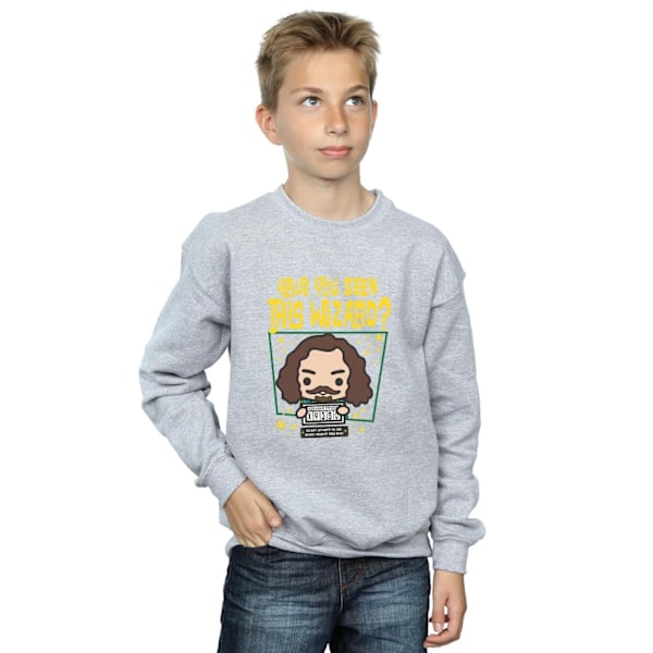 Harry Potter Boys Sirius Black Azkaban Junior Sweatshirt 7-8 år Sports Grey 7-8 Years