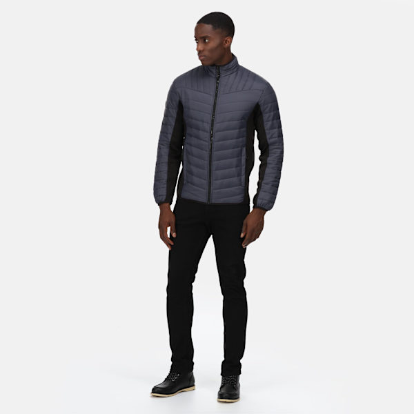 Regatta Professional Hybridjacka för män XXL Seal Grey/Black Seal Grey/Black XXL