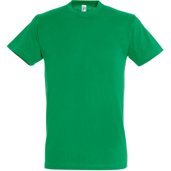 SOLS Regent kortärmad t-shirt för män XS Kelly Grön Kelly Green XS