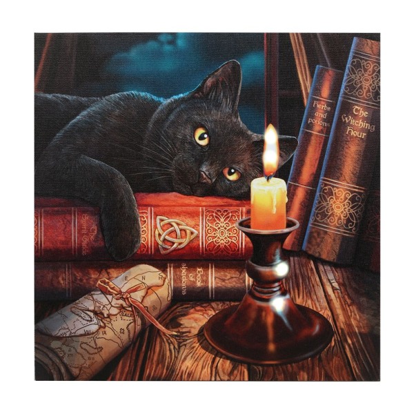 Lisa Parker The Witching Hour Light Up Canvas Plaque 30cm x 30c Multicoloured 30cm x 30cm