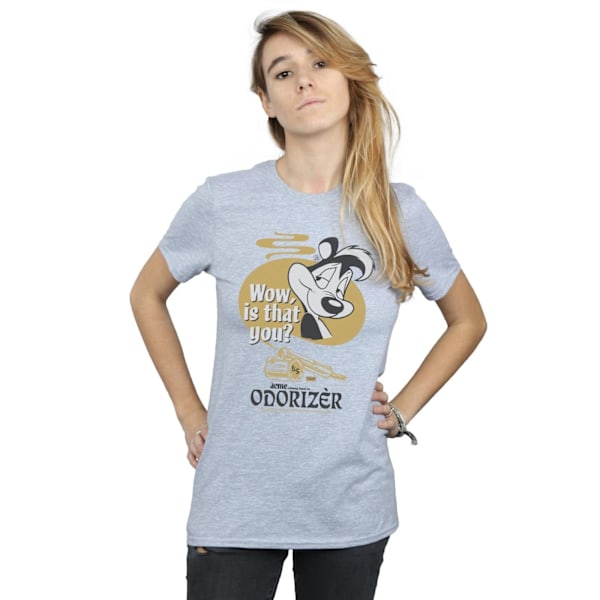 Looney Tunes Dam/Damer Pepe Le Pew Odorizer Bomull Pojkvän Sports Grey L