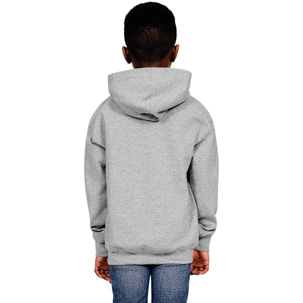 Casual Classics Barn/Barn Blended Ringspun Bomull Hoodie 3 Sports Grey 3-4 Years