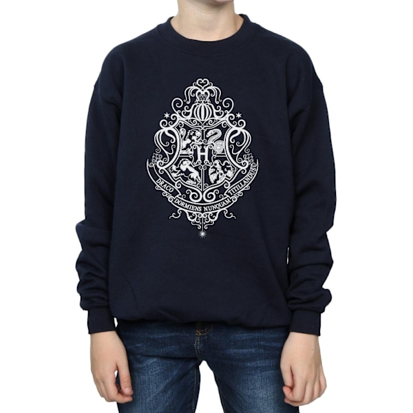 Harry Potter Boys Hogwarts Draco Dormiens Crest Sweatshirt 7-8 Navy Blue 7-8 Years