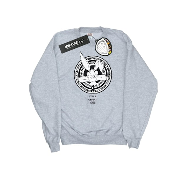 Looney Tunes Mens Wile E Coyote Super Genius Sweatshirt S Sport Sports Grey S