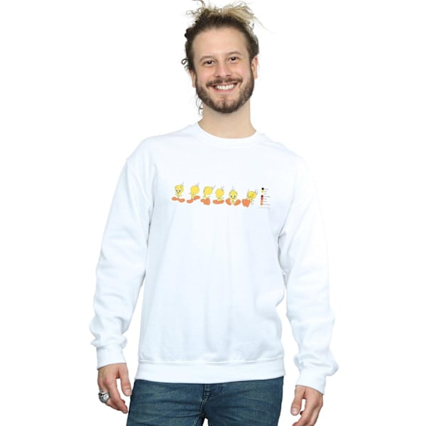 Looney Tunes Herr Tweety Pie Färgkod Sweatshirt 5XL Vit White 5XL