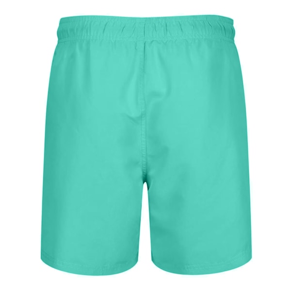 RIPT Essentials Herr Badshorts M Turkos Turquoise M