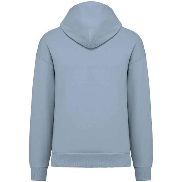 Native Spirit Unisex Vuxen Oversized Hoodie S Aquamarine Aquamarine S