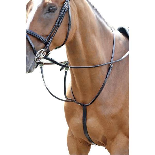 Whitaker Barton Läder Häst Martingal Cob Svart Black Cob