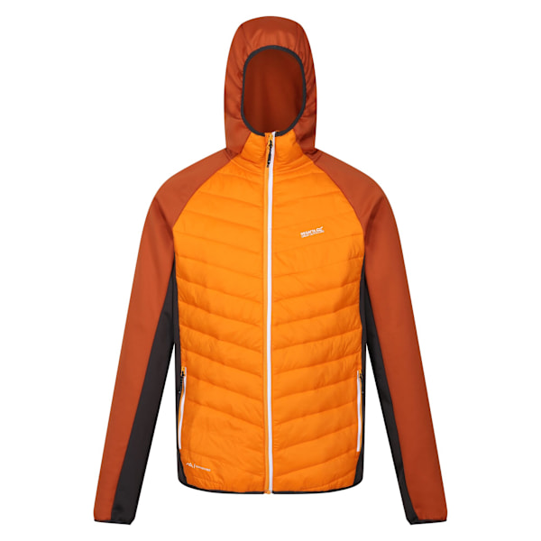 Regatta Herr Andreson VIII Hybridjacka S Orange Pepper/Burnt Orange Pepper/Burnt Copper S
