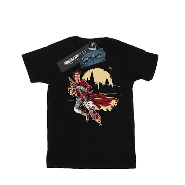 Harry Potter Quidditch Seeker T-shirt för pojkar 9-11 år Svart Black 9-11 Years