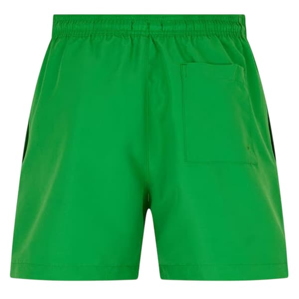 Calvin Klein Herr Logotyp Polyester Badshorts XL Äppelgrön Apple Green XL