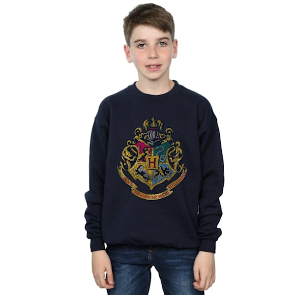 Harry Potter Pojkar Hogwarts Hus Bomullströja 7-8 År N Navy Blue 7-8 Years