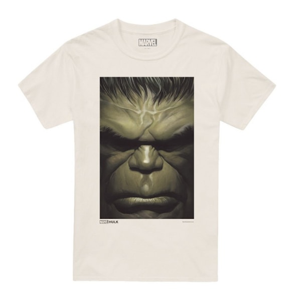 Hulk Herr T-shirt med ansikte S Naturlig Natural S