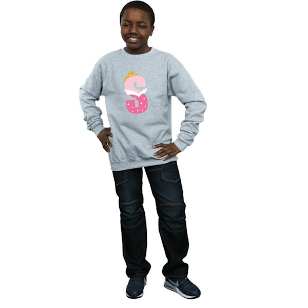 Disney Boys Alphabet S Is For Sleeping Beauty Sweatshirt 5-6 Ye Sports Grey 5-6 Years