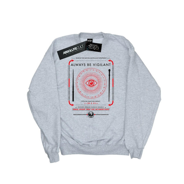 Fantastiska vidunder Kvinnor/Damer Alltid Vara Vaksam Sweatshirt L Heather Grey L