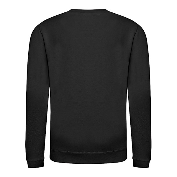 AWDis Just Hoods Barn/Barn Plain Crew Neck Sweatshirt 12-1 Jet Black 12-13 Years