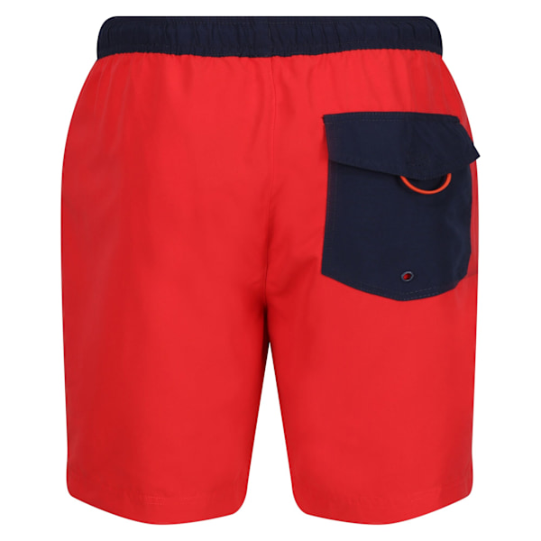 Regatta Bentham badshorts för män 3XL High Risk Red/Navy High Risk Red/Navy 3XL