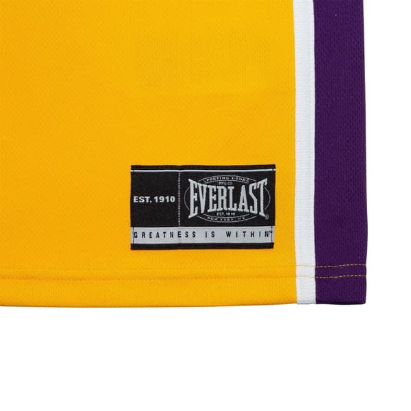 Everlast Barn Polyester Topp & Byxset Set 13 År Yellow/Purple 13 Years