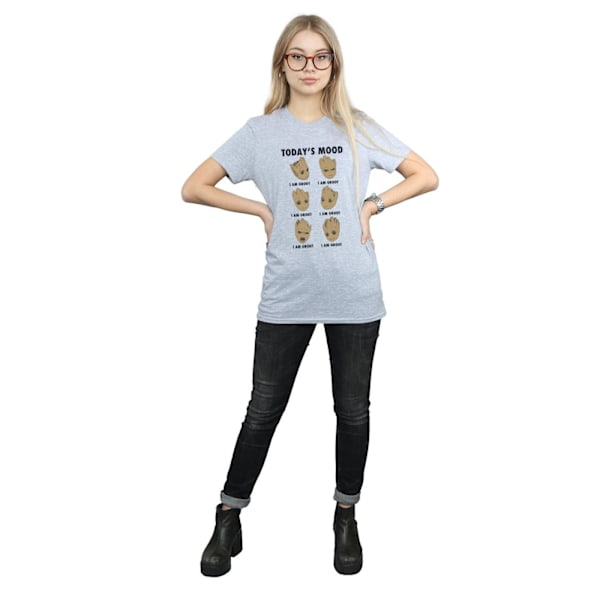 Guardians Of The Galaxy Dam/Damer Idag Humör Baby Groot B Sports Grey M