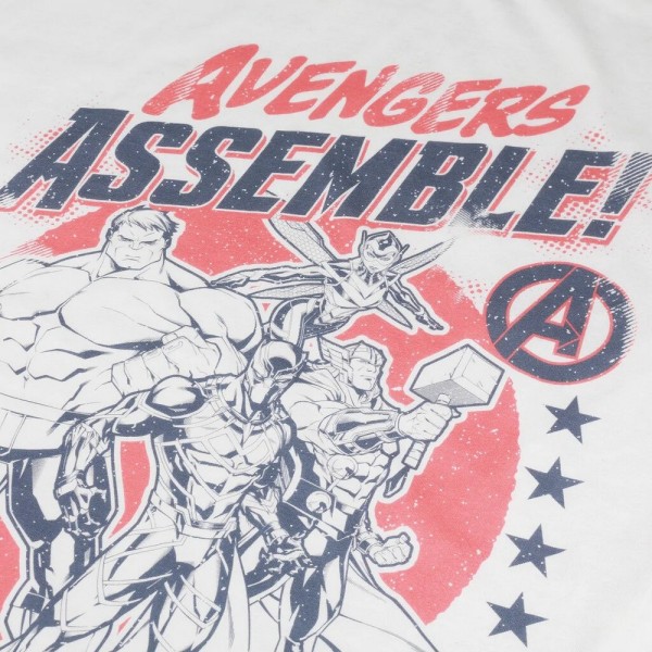 Avengers Assemble Herr Team T-Shirt XXL Vit White XXL