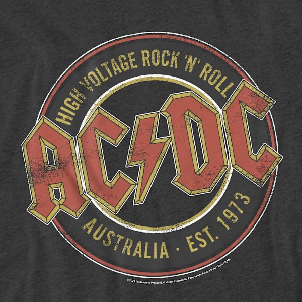AC/DC Unisex Vuxen Est. ´73 T-Shirt L Kolgrå Charcoal L