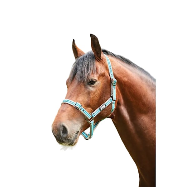 Roma Stripe Häst Huvudsele Ponny Grå/Peach/Turkos Grey/Peach/Turquoise Pony
