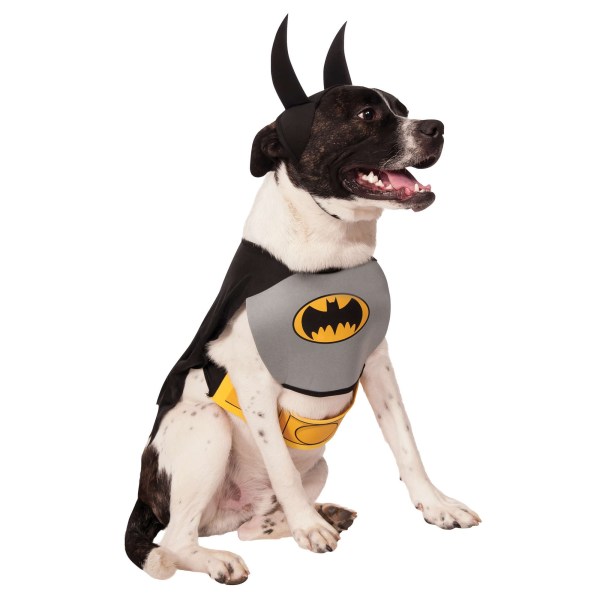 Batman Dog Costume L Svart/Gul Black/Yellow L