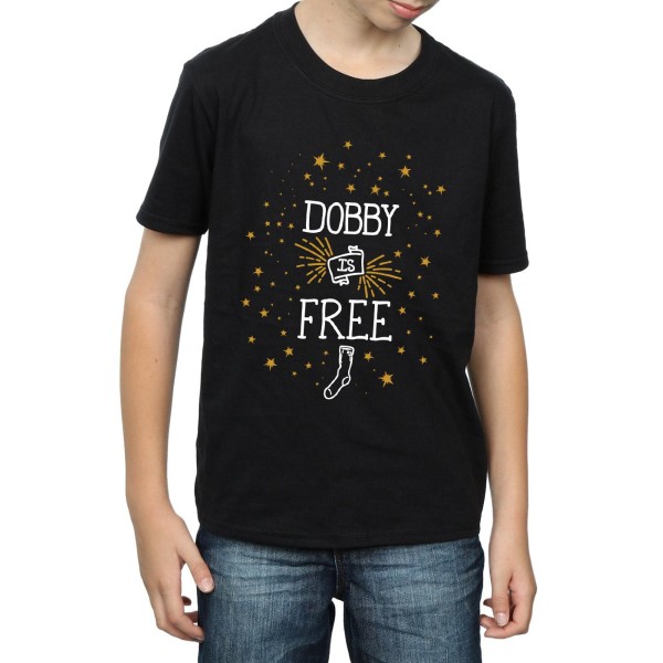 Harry Potter Boys Dobby Is Bomull T-shirt 12-13 År Svart Black 12-13 Years