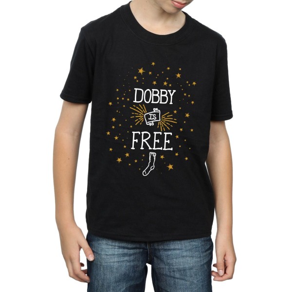 Harry Potter Boys Dobby Is Bomull T-shirt 5-6 År Svart Black 5-6 Years
