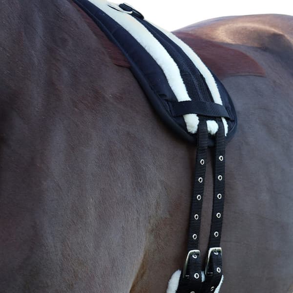 Hy Roller Häst Longeringsskydd Cob Svart Black Cob