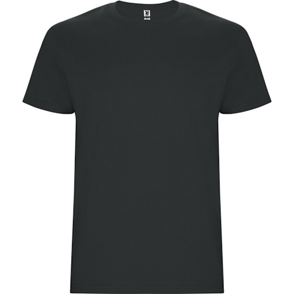 Roly Barn/Barn Stafford Kortärmad T-shirt 5-6 År Mörk Bly Dark Lead 5-6 Years