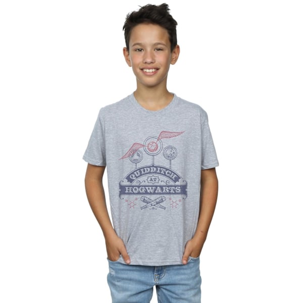 Harry Potter Quidditch på Hogwarts T-shirt för pojkar 9-11 år Spor Sports Grey 9-11 Years