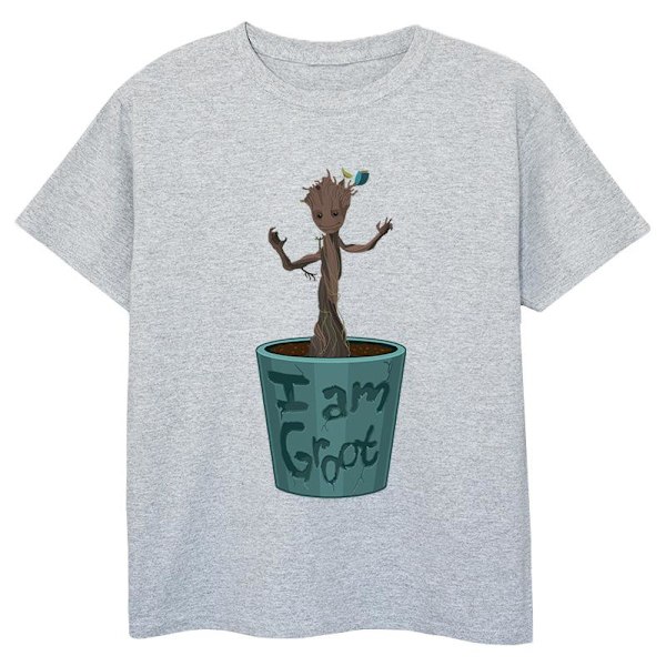 Marvel Boys Guardians Of The Galaxy Groot Blomkruka T-shirt 12 Sports Grey 12-13 Years