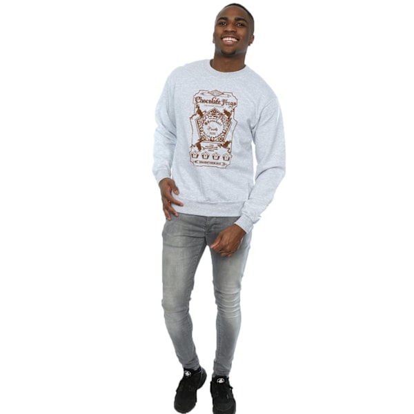 Harry Potter Mens Chocolate Frogs Mono Label Sweatshirt L Sport Sports Grey L